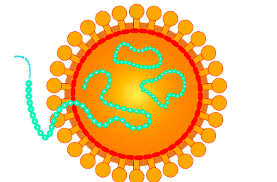 Hantavirus 2026
